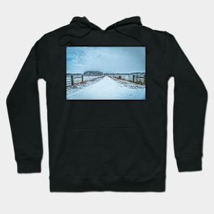 January Snow Day Hoodie